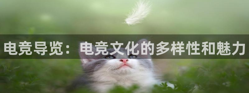 UWIN电竞·(中国)集团