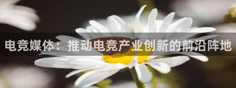 uwin电竞平台：电竞媒体：推动电竞产业创新的前沿阵地