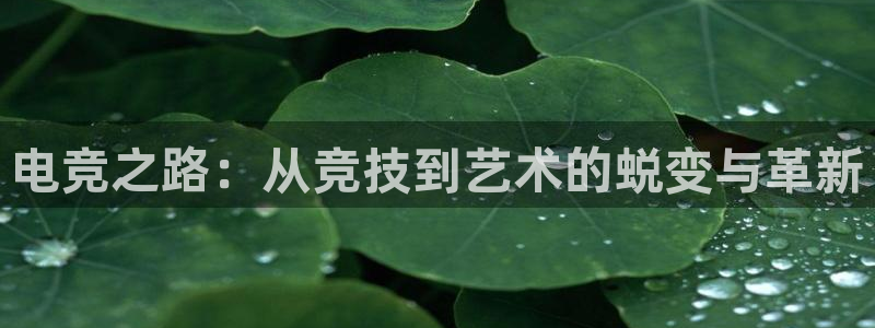 UWIN电竞·(中国)集团：电竞之路：从竞技到艺术的蜕变与革新