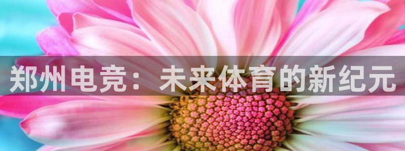 Uwin电竞在线：郑州电竞：未来体育的新纪元