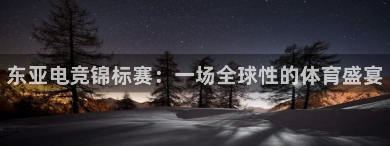 UWIN电竞·(中国)集团：东亚电竞锦标赛：一场全球性的体育盛宴