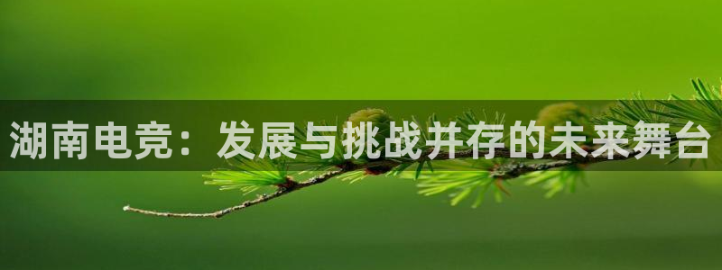 uwin电竞app下载：湖南电竞：发展与挑战并存的未来舞台